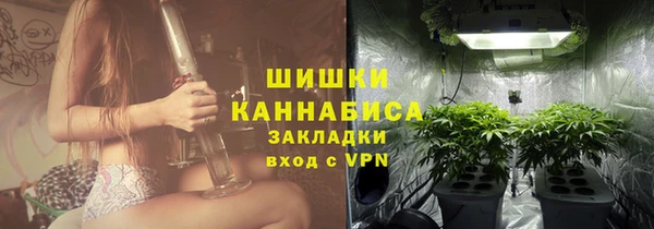 молекула духа Аркадак