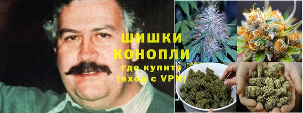 молекула духа Аркадак