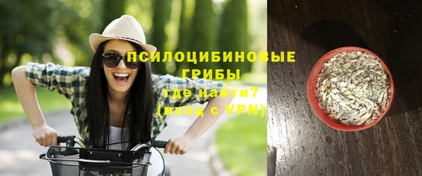 молекула духа Аркадак